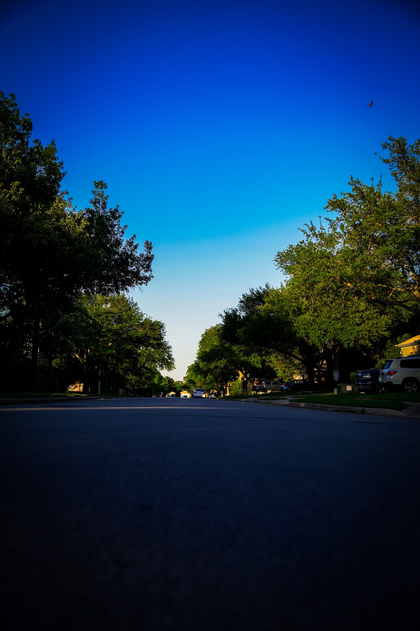 Residential Street - Sky View